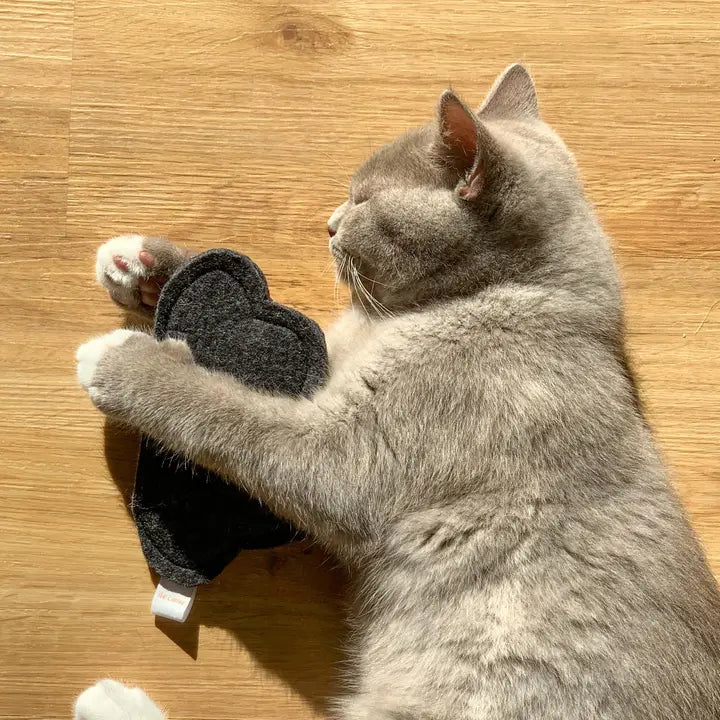 Ensemble Coussin à Herbe à Chat en Feutre Naturel