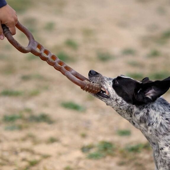 Jouet pour Chien en Résine Naturelle - Tir à la Corde