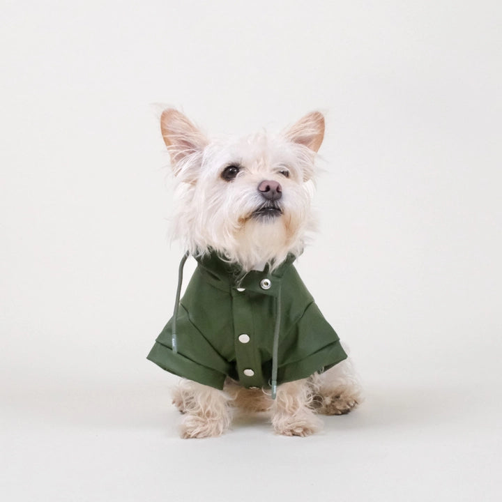 Imperméable pour chien