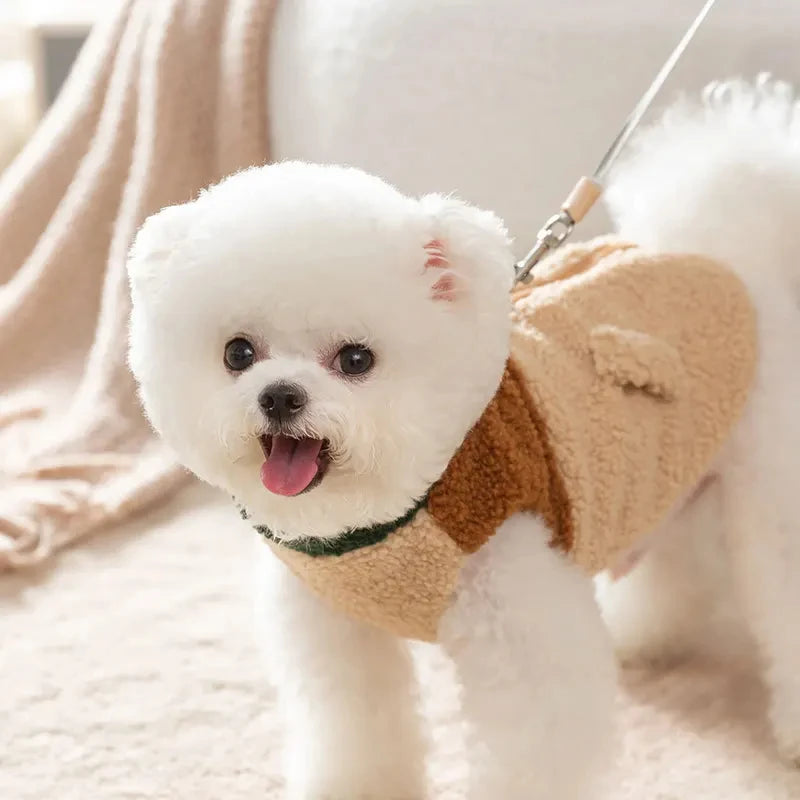 Le Pull Design pour Chiens Branchés