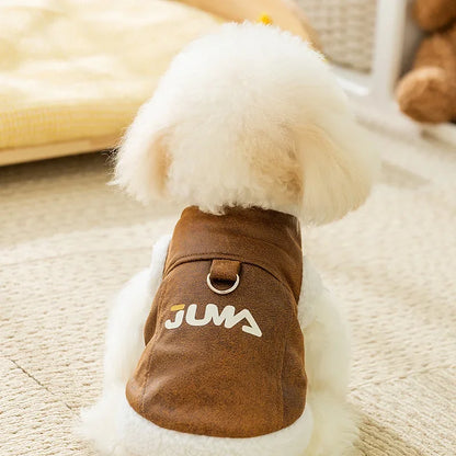 Veste aviateur pour chien Juma – look stylé et chaleur assurée