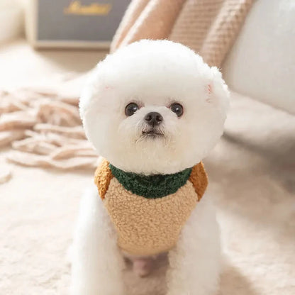 Le Pull Design pour Chiens Branchés