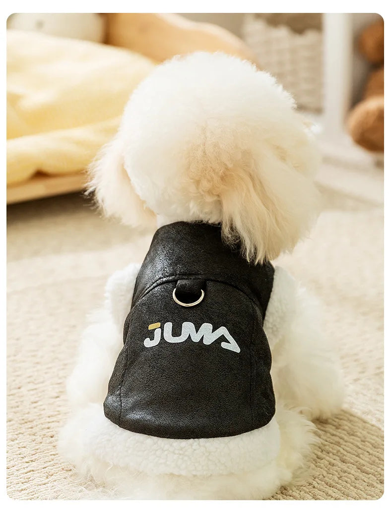 Veste aviateur pour chien Juma – look stylé et chaleur assurée