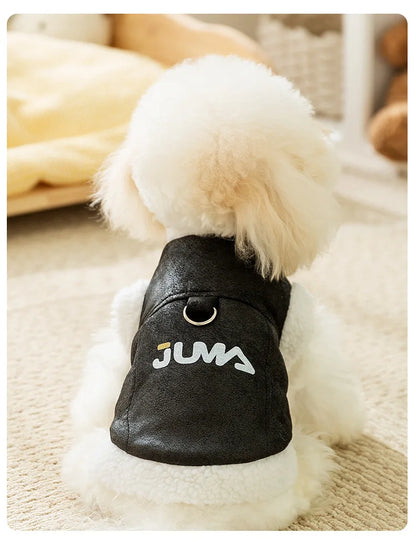 Veste aviateur pour chien Juma – look stylé et chaleur assurée