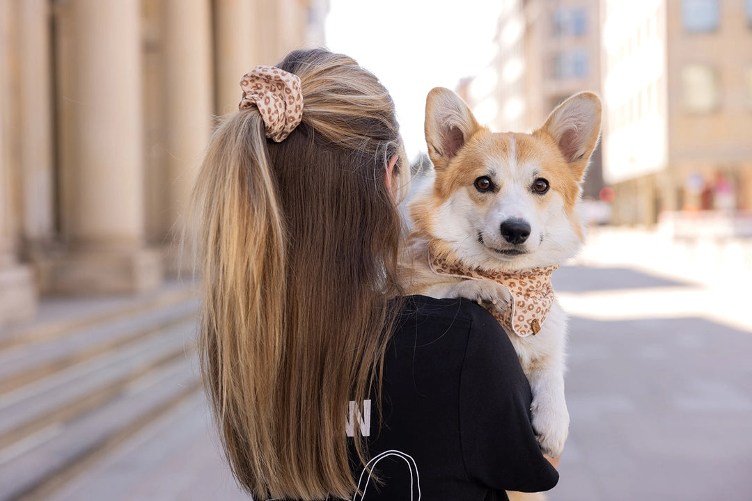 Foulard en Mousseline pour Chien